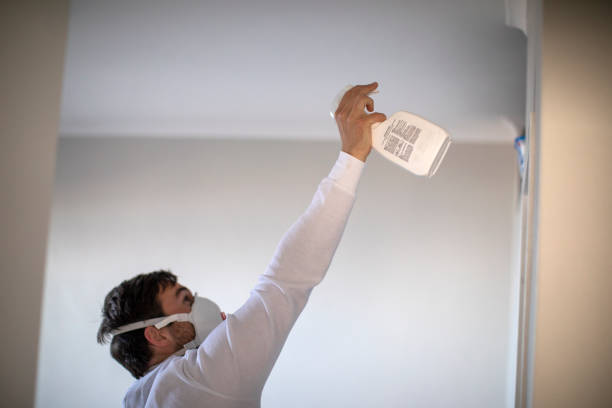 Best Local Mold Removal Service  in Terville, WA