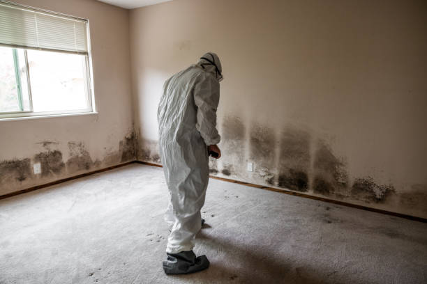 Water Damage Restoration in Waterville, WA